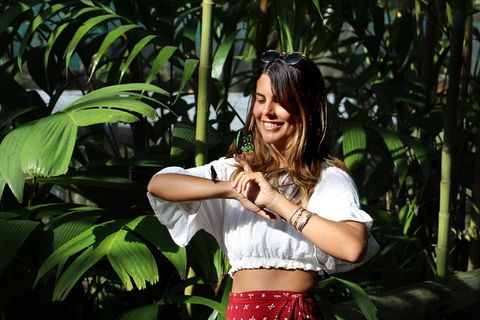 Australian Butterfly Sanctuary - Accommodation VIC 1