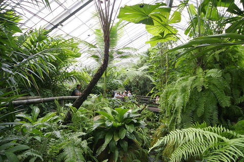 Australian Butterfly Sanctuary - Accommodation VIC 3