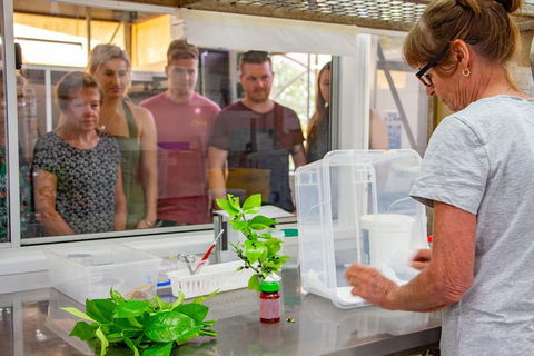 Australian Butterfly Sanctuary - Accommodation VIC 5