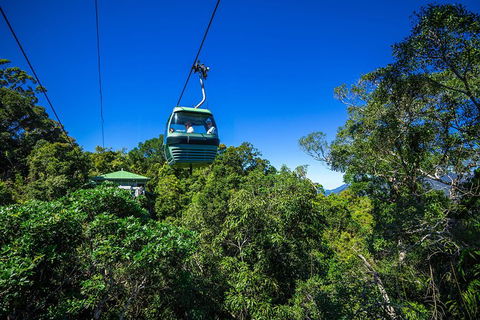 Classic Kuranda By Skyrail And Scenic Railway Including Rainforestation, Koala And Wildlife Park And Pamagirri Aboriginal Experi - Accommodation VIC 0