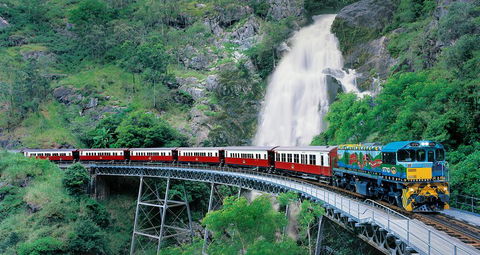Classic Kuranda By Skyrail And Scenic Railway Including Rainforestation, Koala And Wildlife Park And Pamagirri Aboriginal Experi - Accommodation VIC 1