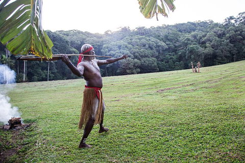 Classic Kuranda By Skyrail And Scenic Railway Including Rainforestation, Koala And Wildlife Park And Pamagirri Aboriginal Experi - Accommodation VIC 5