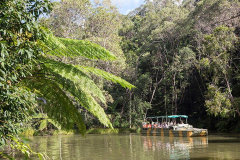 Best Of Kuranda Including Skyrail, Kuranda Scenic Railway And Rainforestation - Accommodation VIC 5