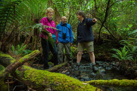 Bruny Island Traveller - Gourmet Tasting And Sightseeing Day Trip From Hobart - Accommodation VIC 1