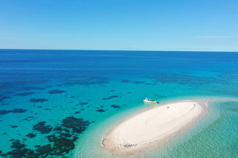 Ocean Safari Great Barrier Reef Experience In Cape Tribulation - Accommodation VIC 0