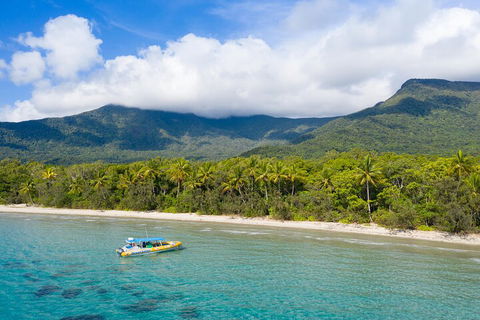Ocean Safari Great Barrier Reef Experience In Cape Tribulation - Accommodation VIC 2