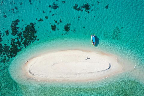 Ocean Safari Great Barrier Reef Experience In Cape Tribulation - Accommodation VIC 3
