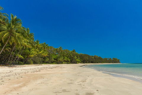 Ocean Safari Great Barrier Reef Experience In Cape Tribulation - Accommodation VIC 4