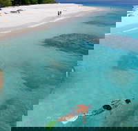 Fitzroy Island Day Trip from Cairns - Accommodation VIC