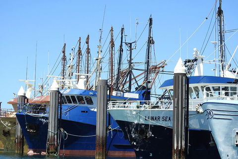 One Day Port Lincoln Tour - Tasting Eyre - Accommodation VIC 0