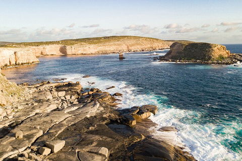 One Day Port Lincoln Tour - Tasting Eyre - Accommodation VIC 3