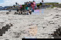 Book Viator Accommodation Vacations Accommodation VIC Accommodation VIC