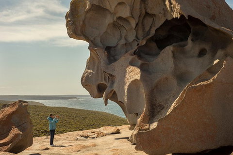 Kangaroo Island In A Day Tour From Adelaide - Accommodation VIC 5