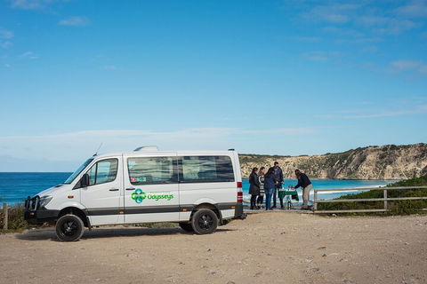 Full Day Flinders Chase Tour From Kangaroo Island - Accommodation VIC 3