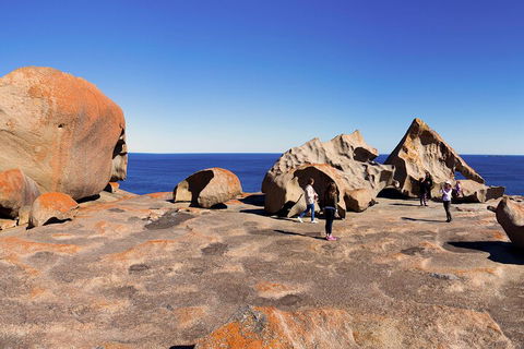 Full-Day Kangaroo Island Experience Departing From Kangaroo Island - Accommodation VIC 4
