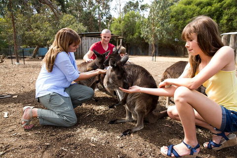 Full-Day Kangaroo Island Experience Departing From Kangaroo Island - Accommodation VIC 5