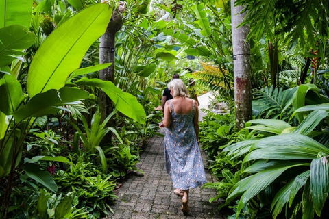 Cairns City Sights And Surrounds Tour - Accommodation VIC 2