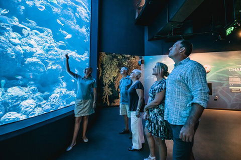 Cairns Aquarium By Twilight With 3-Course Dinner - Accommodation VIC 1