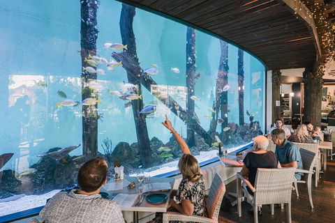 Cairns Aquarium By Twilight With 3-Course Dinner - Accommodation VIC 4