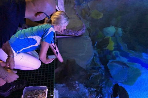Cairns Aquarium Marine Life Encounter Ticket With 2-Course Lunch - Accommodation VIC 2