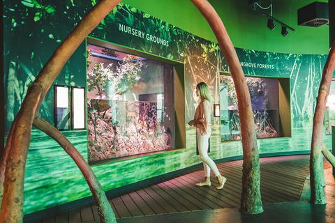 Cairns Aquarium Marine Life Encounter Ticket With 2-Course Lunch - Accommodation VIC 3