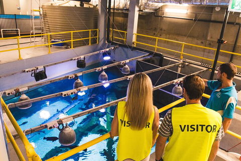 Cairns Aquarium Marine Life Encounter Ticket With 2-Course Lunch - Accommodation VIC 5