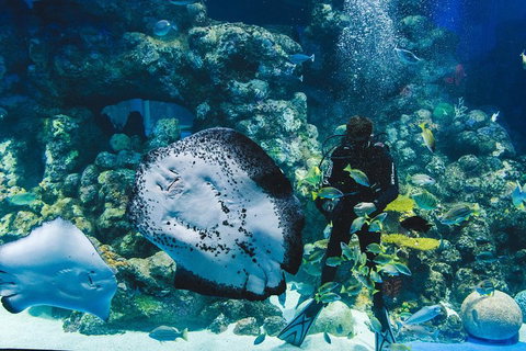 Cairns Aquarium Family Ticket - Accommodation VIC 4