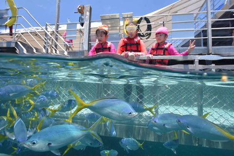 Outer Reef Pontoon Experience From Cairns - Accommodation VIC 0