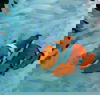 Seastar Luxury Outer Great Barrier Reef Island and Reef Tour from Cairns - Accommodation VIC