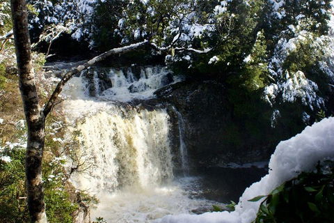 Cradle Mountain Day Tour From Launceston Including Lunch - Accommodation VIC 0