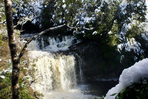 Cradle Mountain Park Explorer Guided Tour - Accommodation VIC 4