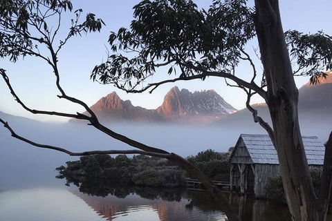 Cradle Mountain Park Explorer Guided Tour - Accommodation VIC 5