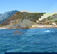 Kayaking with Dolphins in Byron Bay Guided Tour - Accommodation VIC