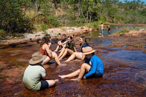 Litchfield National Park Waterfalls And Wildlife Tour From Darwin - Accommodation VIC 1