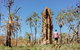 Litchfield National Park Waterfalls And Wildlife Tour From Darwin - thumb 4