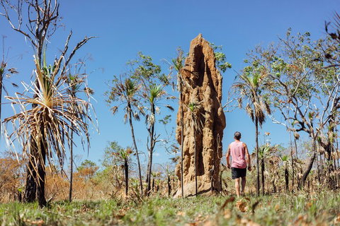 Litchfield National Park Waterfalls And Wildlife Tour From Darwin - Accommodation VIC 4