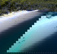 All-Inclusive Fraser Island Day Tour - Accommodation VIC