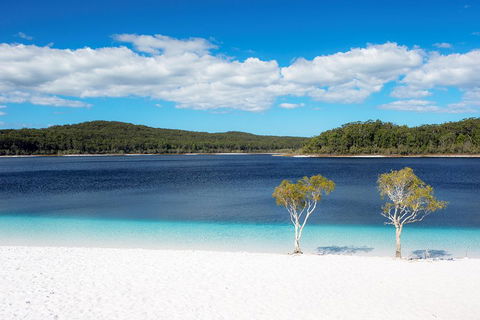 All-Inclusive Fraser Island Day Tour - Accommodation VIC 3