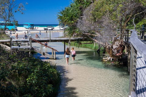 All-Inclusive Fraser Island Day Tour - Accommodation VIC 4