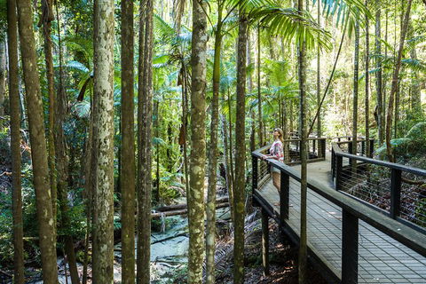 All-Inclusive Fraser Island Day Tour - Accommodation VIC 5