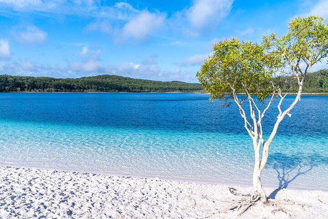 Lake McKenzie Full-Day Tour With Lunch From Hervey Bay - Accommodation VIC 1