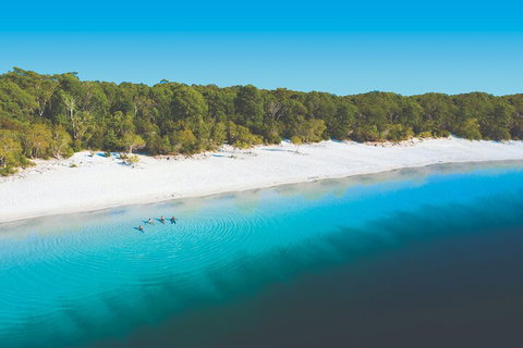 Lake McKenzie Full-Day Tour With Lunch From Hervey Bay - Accommodation VIC 4