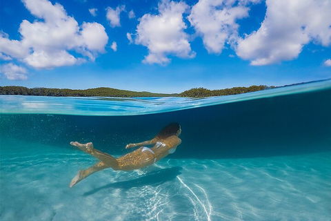 Lake McKenzie Full-Day Tour With Lunch From Hervey Bay - Accommodation VIC 5