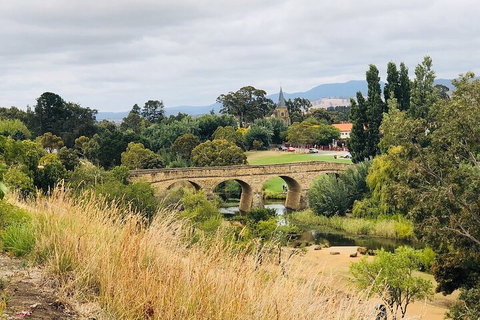 Day Tour In Mt. Field, Mt. Wellington, Bonorong Wildlife Sanctuary And Richmond - Accommodation VIC 3