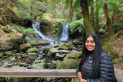 Day Tour In Mt. Field, Mt. Wellington, Bonorong Wildlife Sanctuary And Richmond - Accommodation VIC 5