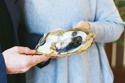 Half-Day Willie Creek Pearl Farm Tour With Helicopter Flight - Accommodation VIC 3