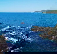 Julian Rocks Byron Bay Cruise - Accommodation VIC