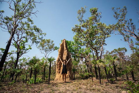 Litchfield National Park - Top End Day Tour From Darwin - Accommodation VIC 5