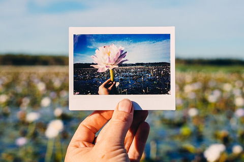 Kakadu Wilderness Escape - Top End Day Tour From Darwin - Accommodation VIC 3