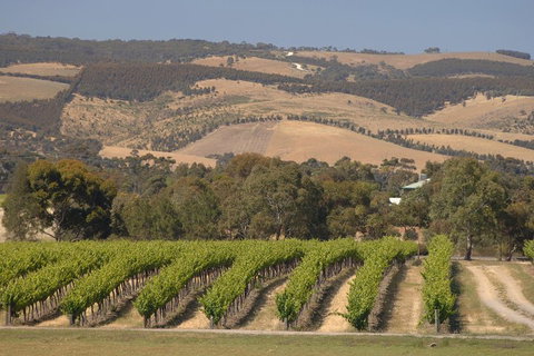 McLaren Vale And Glenelg Wine Tasting And Sightseeing (Half-day Afternoon) - Accommodation VIC 2